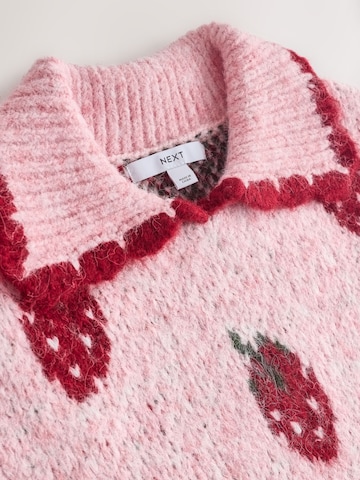Next Sweater in Pink