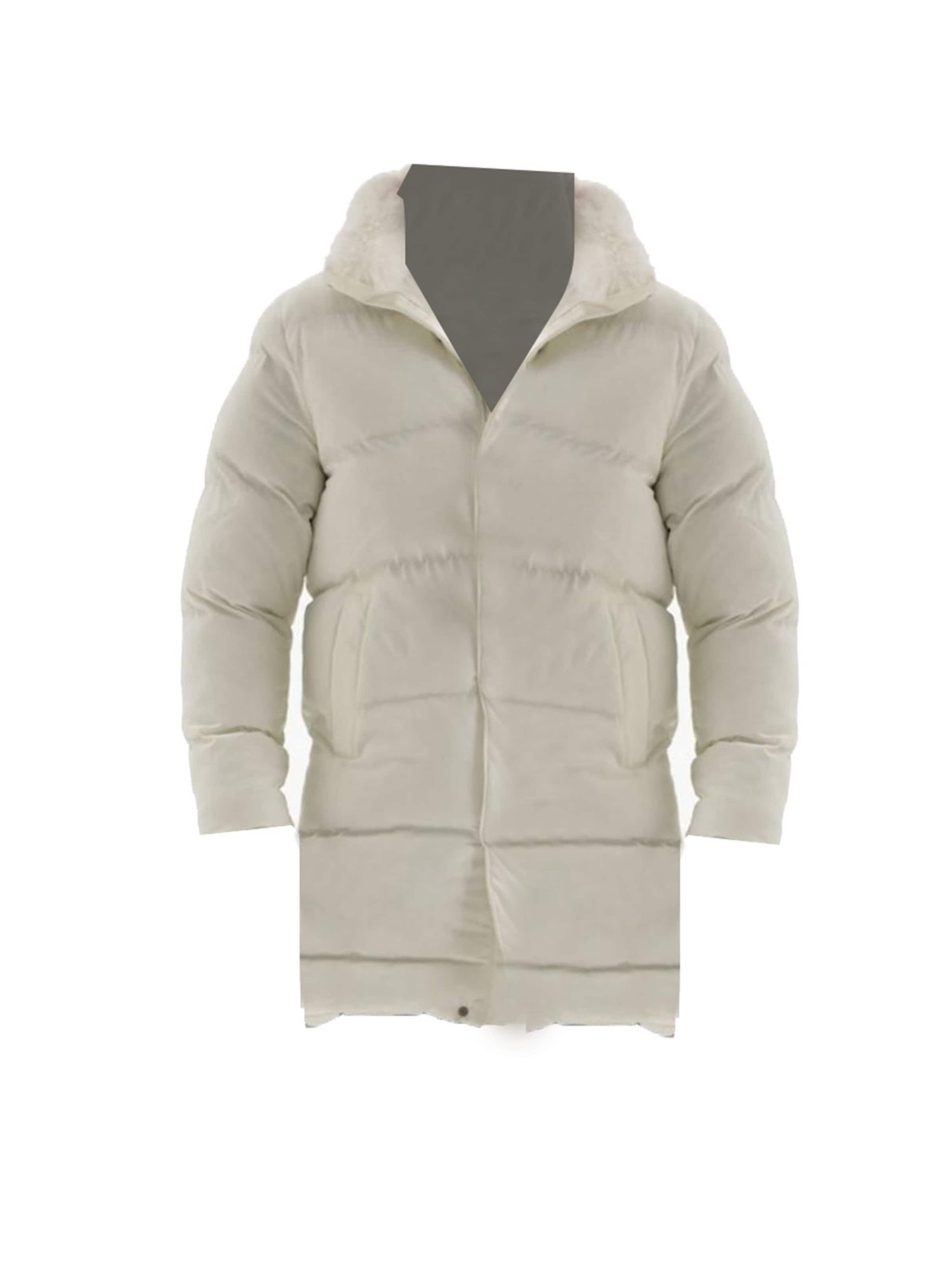 Manteau d’hiver Antioch en beige : devant