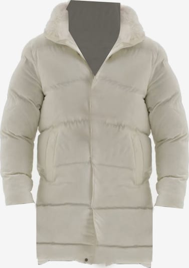 Žieminis paltas iš Antioch, spalva – gelsvai pilka spalva, Prekių apžvalga