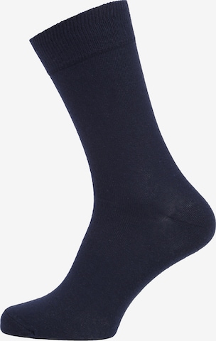 Albert Schäfer Socks in Blue: front