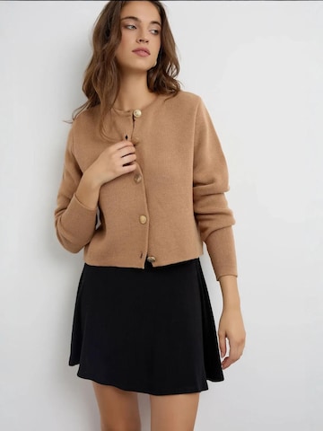 Hiccup Strickjacke in Braun