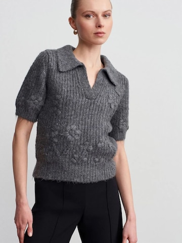 Dilvin Pullover 'Pullover'‌‌‌‌ in Grau