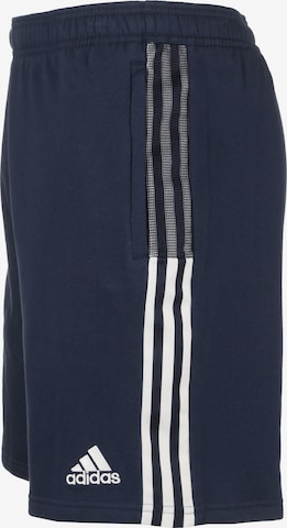 ADIDAS SPORTSWEAR Regular Workout Pants 'Tiro 21' in Blue