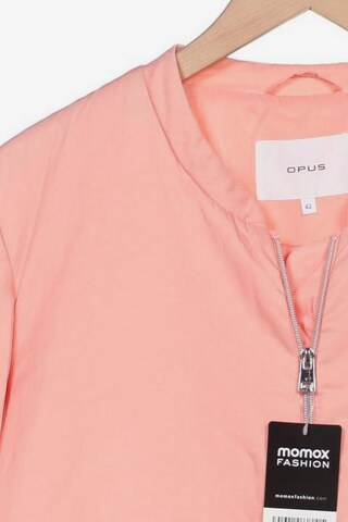 OPUS Jacket & Coat in XL in Pink