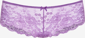 Culotte LASCANA en violet : devant