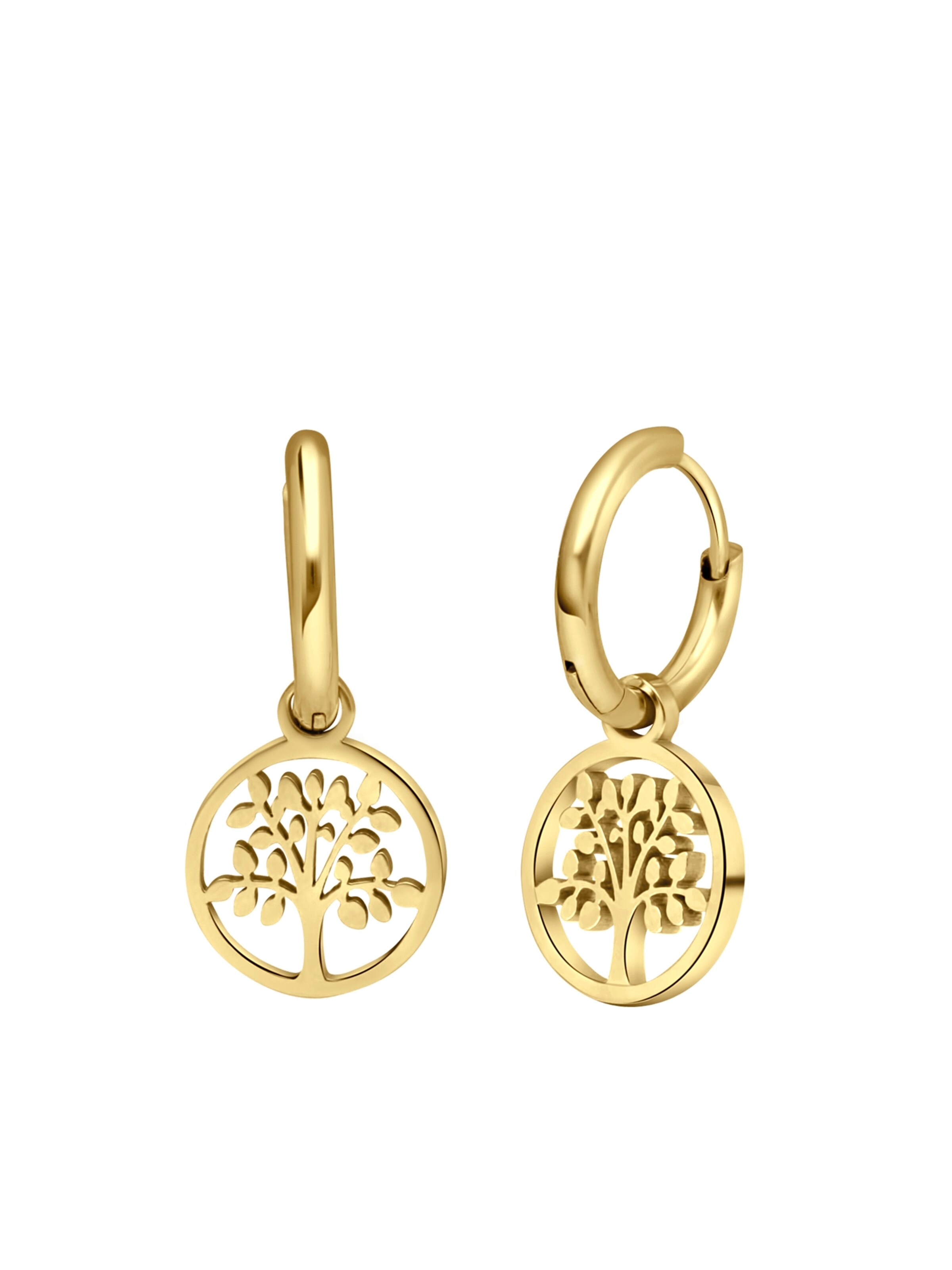 Lucardi Earrings in Gold: front