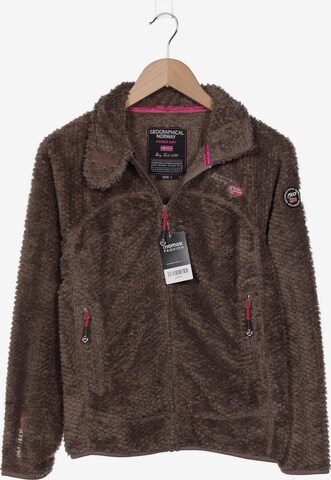 Geographical Norway Jacket & Coat in S in Brown: front