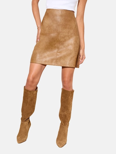 Friends Like These Skirt in Cappuccino, Item view