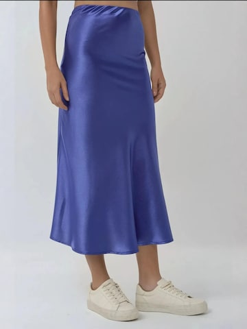 Hiccup Rok in Blauw