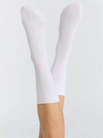 Albero Natur Socks 'Bio-Baumwoll-Socken mit längerem Bündchen - 2er Pack' in White