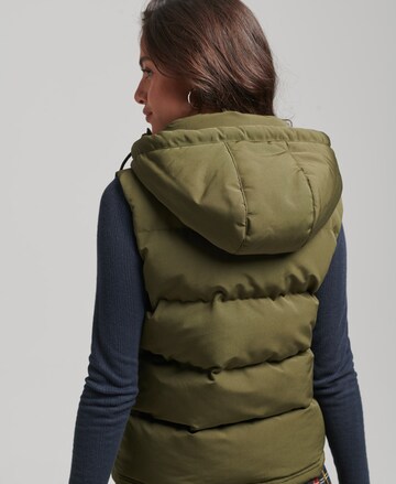 Gilet Superdry en vert