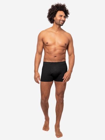 Almonu Boxershorts 'Cotton - Melange' in Grijs