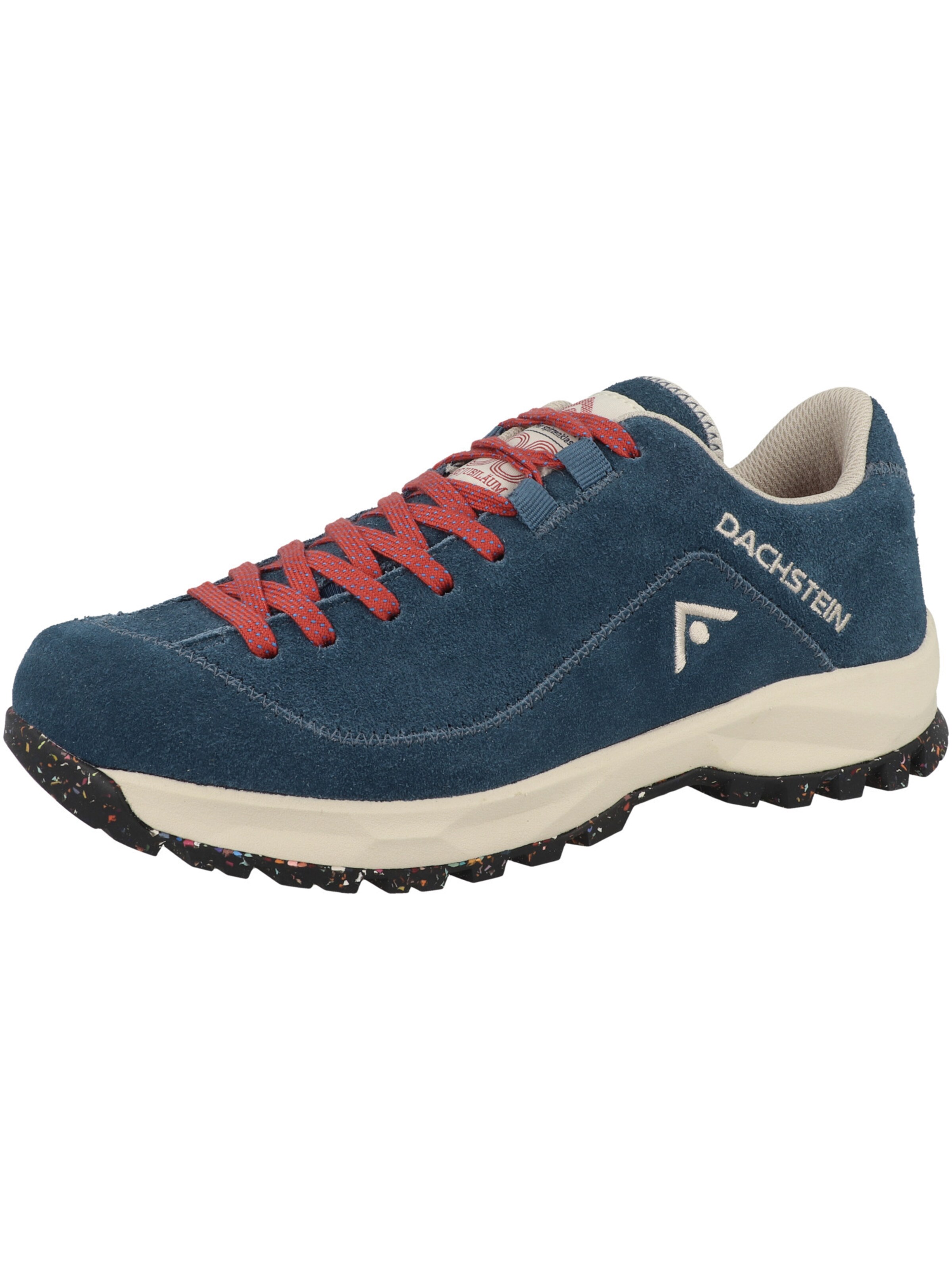 Dachstein - Sapatilhas baixas 'Sinabell 1925' em azul: frente