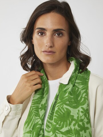 CODELLO Scarf in Green