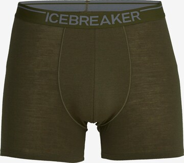 ICEBREAKER - Cueca desportiva 'Anatomica' em verde: frente