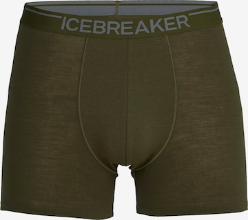 ICEBREAKER Sport alsónadrágok 'Anatomica' - zöld: elől
