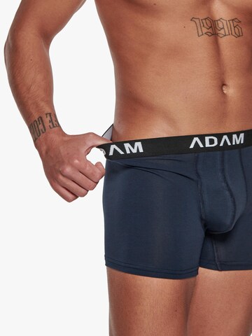 Adam Boxer shorts '3er Pack' in Grey