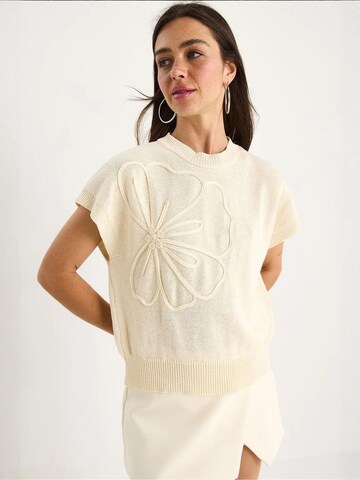 Bianco Lucci Sweater in Beige