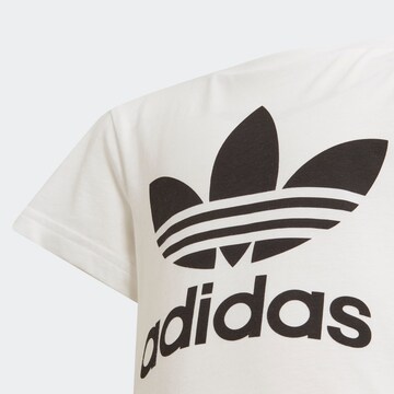 ADIDAS ORIGINALS T-Shirt 'Adicolor Trefoil' in Weiß