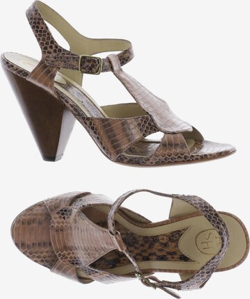 ASH Sandals & High-Heeled Sandals in 37 in Brown: front