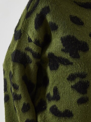 Pull-over Bianco Lucci en vert