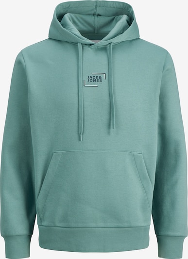 Megztinis be užsegimo 'JJECORP' iš JACK & JONES, spalva – mėlyna / pastelinė žalia, Prekių apžvalga