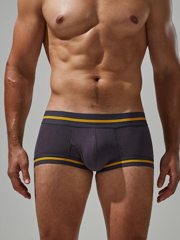 TAUWELL Boxershorts in Braun: Vorderseite