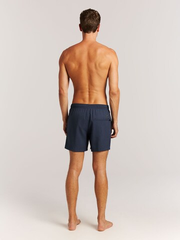Shorts de bain 'Davey' PROTEST en bleu