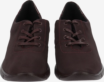 Arcopedico Athletic Lace-Up Shoes in Brown