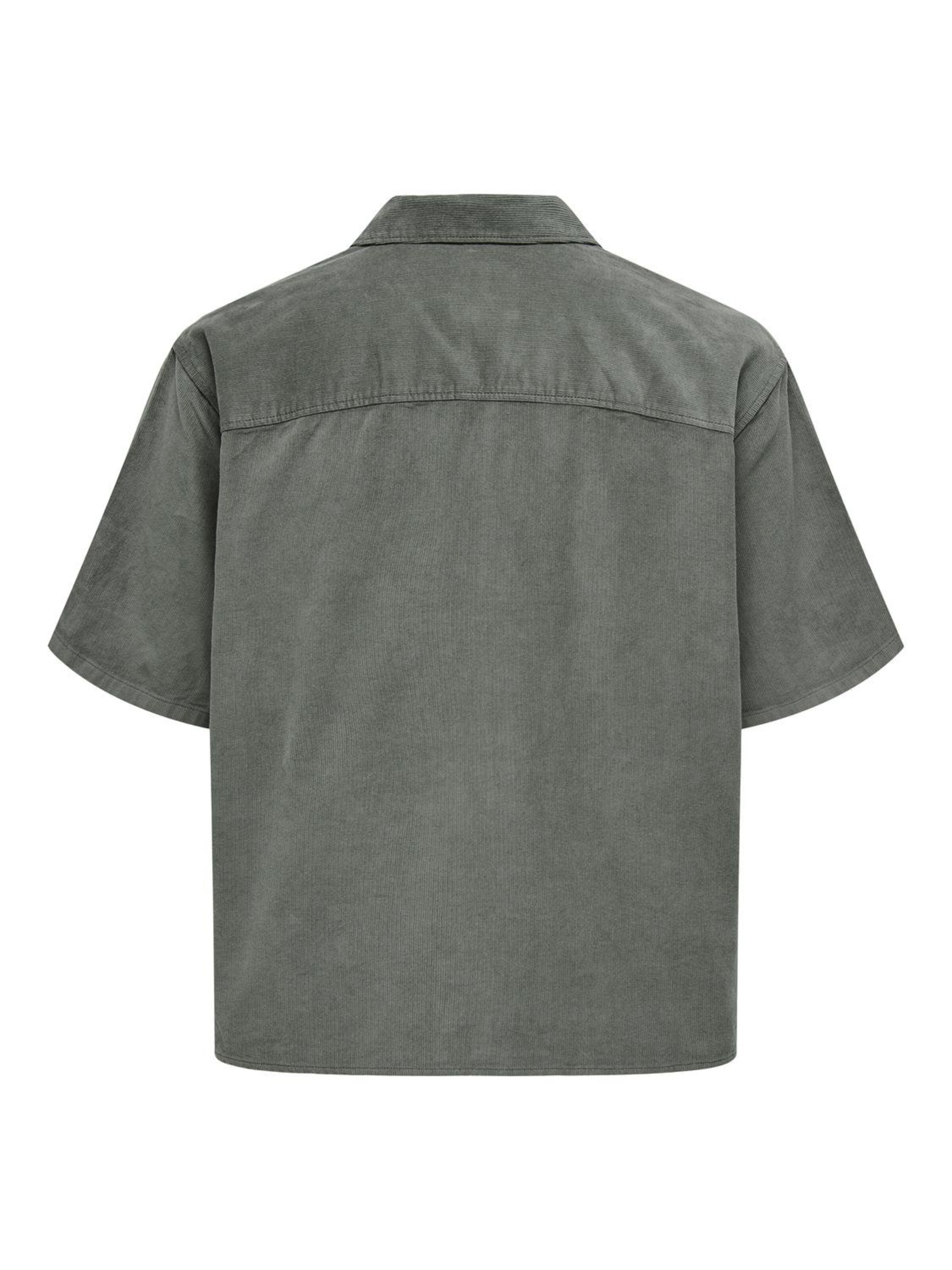 pelēks Only & Sons Komforta piegriezums Krekls 'Alfi'