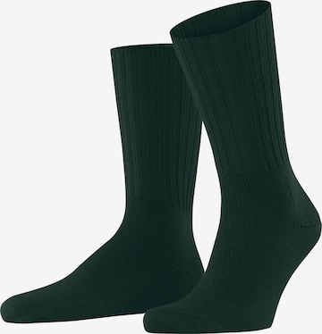 FALKE Socks 'Nelson' in Green: front