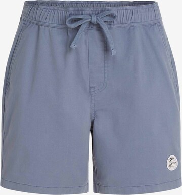 O'NEILL Shorts 'Og Porter' in Blau: predná strana