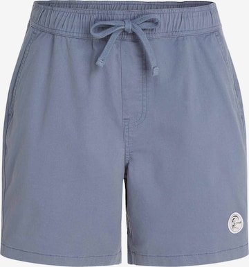 O'NEILL Regular Shorts 'Og Porter' in Blau: predná strana