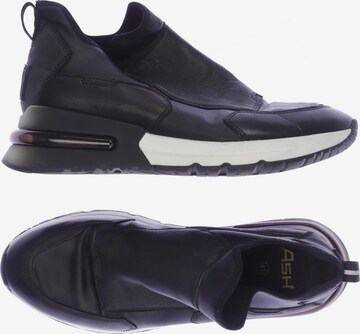 ASH Sneakers & Trainers in 41 in Black: front