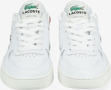 Baskets basses LACOSTE en blanc