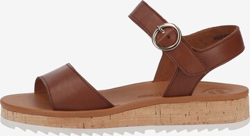 Paul Green Sandals in Brown