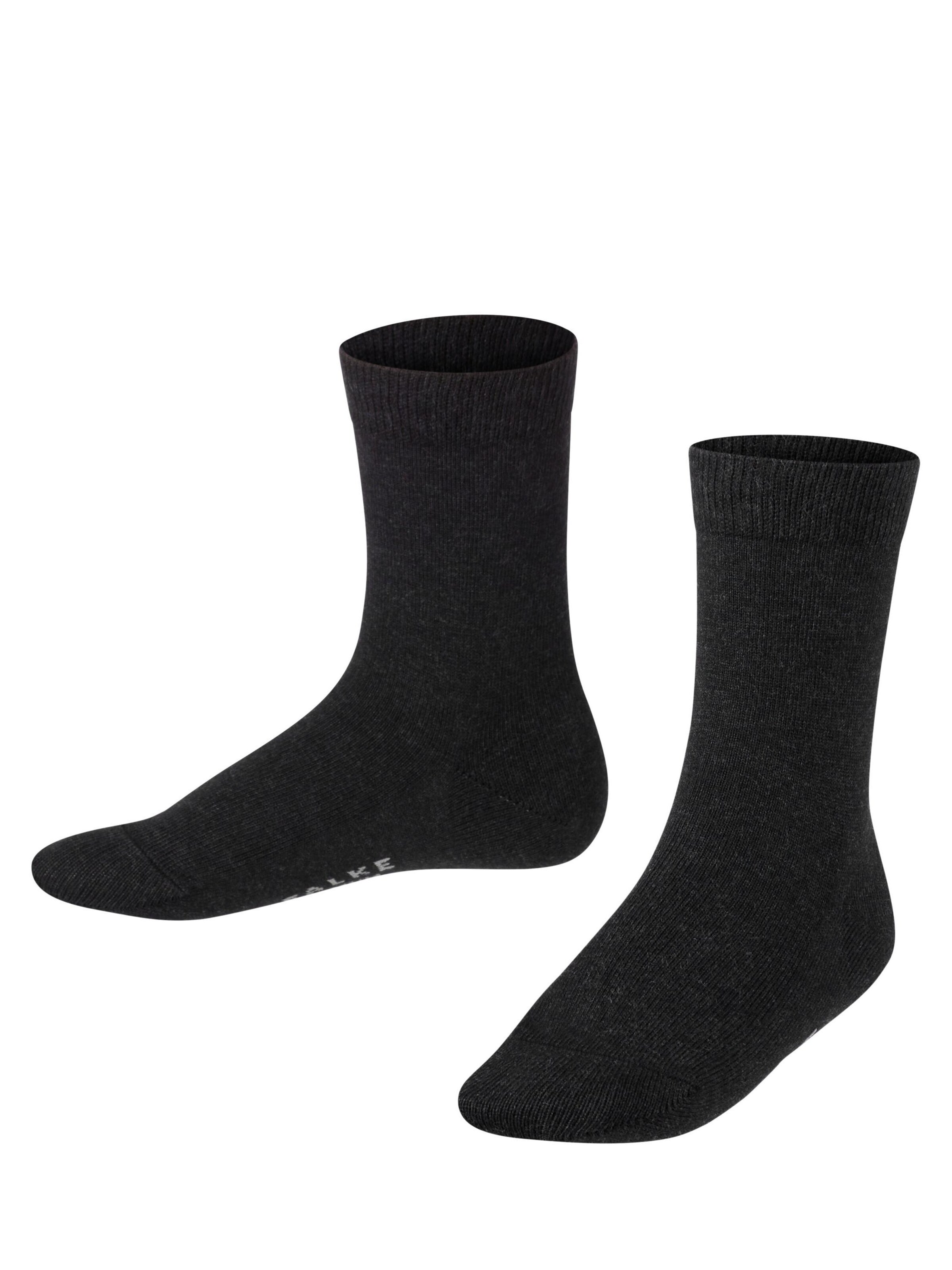 FALKE Socks 'Family' in Grey