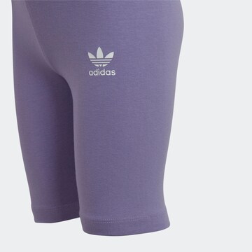 Set 'Floral' ADIDAS ORIGINALS en violet