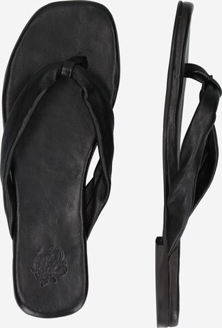 Apple of Eden T-bar sandals 'Scarlett' in Black