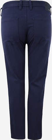 Regular Pantaloni de la s.Oliver BLACK LABEL pe albastru