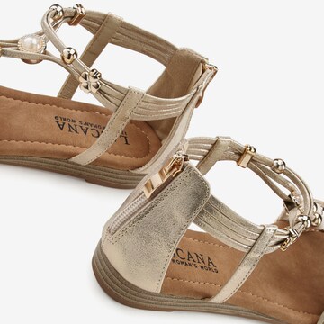 LASCANA - Sandalias con hebilla en beige