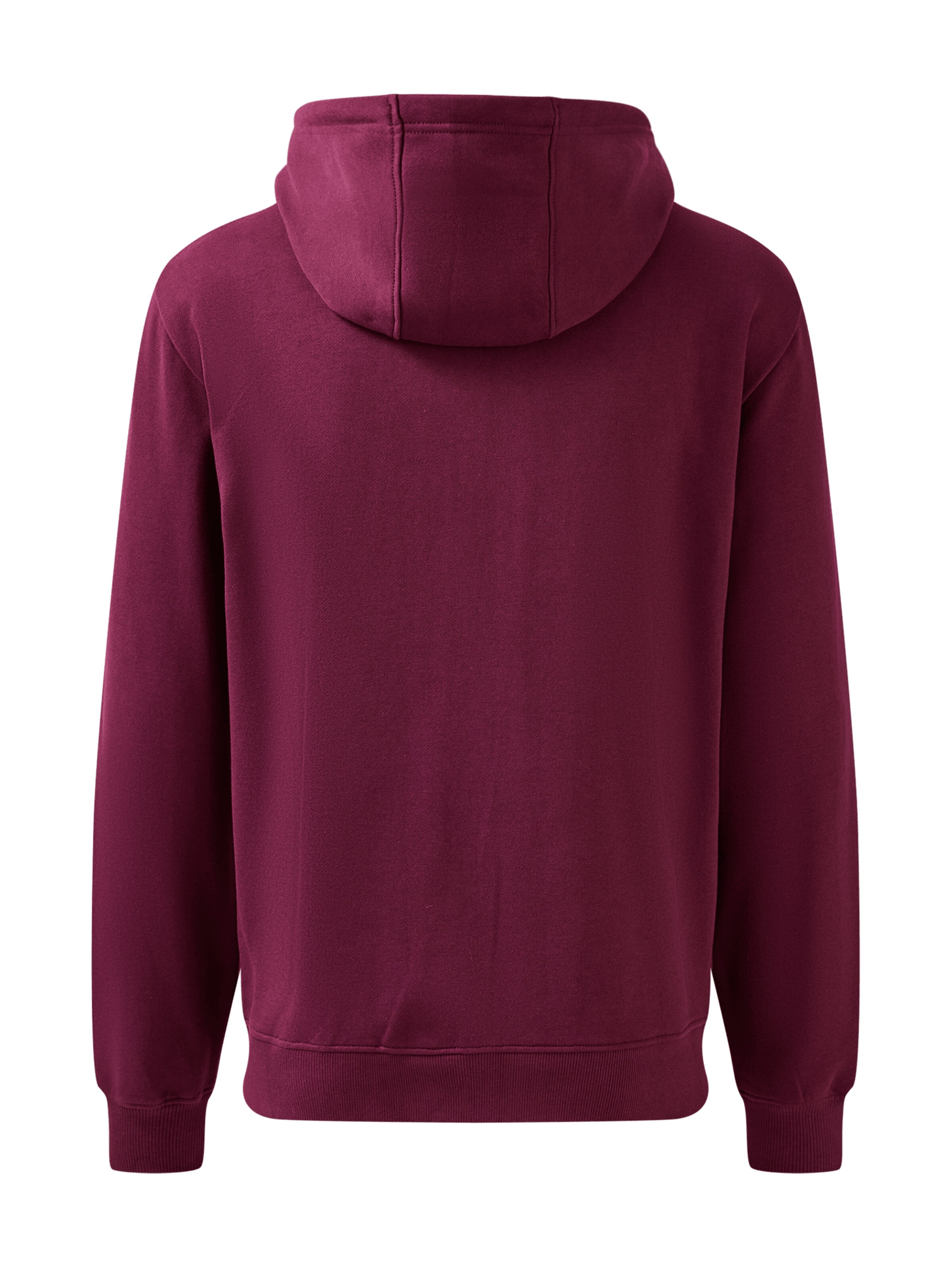 FC BAYERN MÜNCHEN Zip-Up Hoodie in Red