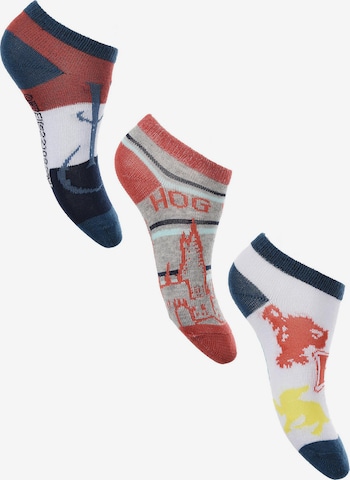 Harry Potter Socks in Mixed colors: front