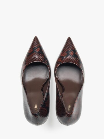 Estro Pumps '25103-11'‌‌‌‌‌‌‌ in Braun