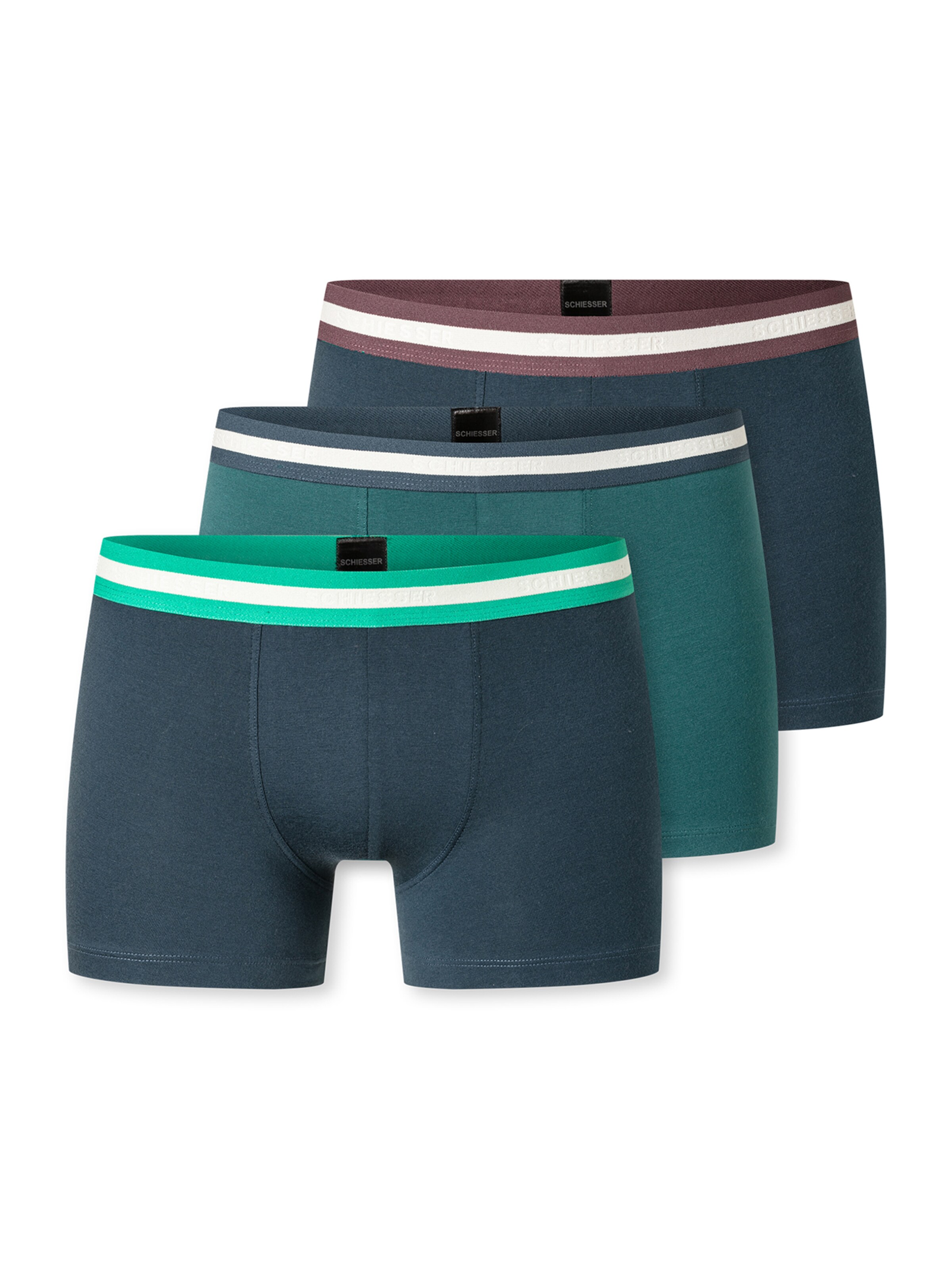 Sous-vêtements ' 95/5 Multi ' SCHIESSER en vert : devant