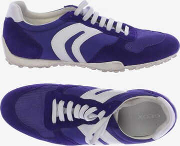 GEOX Sneakers & Trainers in 39 in Blue: front