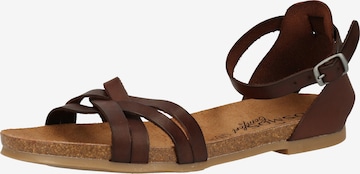 COSMOS COMFORT Strap Sandals in Brown: front