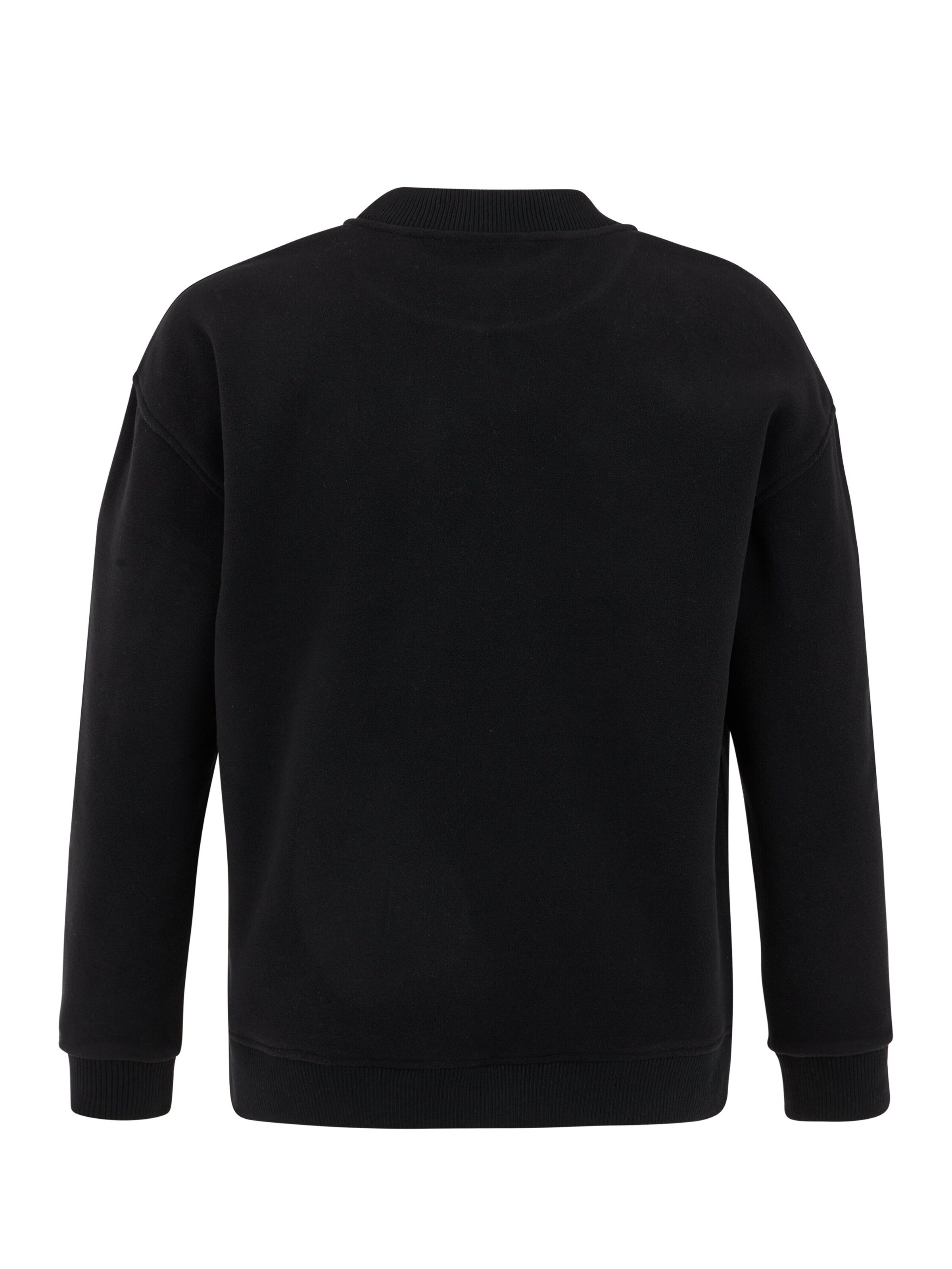 PROTEST Pullover 'PRTTUNGNA'‌‌‌‌‌‌‌‌ in Schwarz