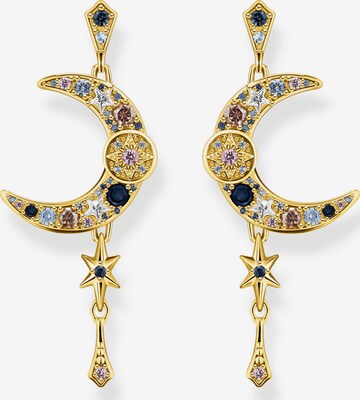 Thomas Sabo Earrings in Gold: front