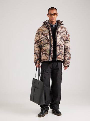 HUGO Winter jacket 'Bironto' in Grey